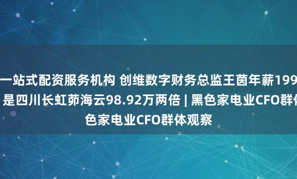 一站式配资服务机构 创维数字财务总监王茵年薪199.32万 是四川长虹茆海云98.92万两倍 | 黑色家电业CFO群体观察
