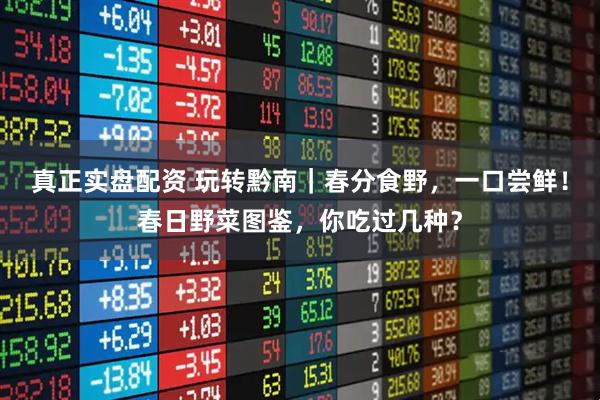 真正实盘配资 玩转黔南｜春分食野，一口尝鲜！春日野菜图鉴，你吃过几种？